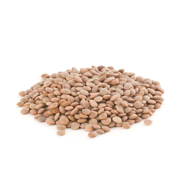 lenticchie